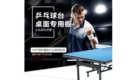 ITTF认证双子星体育乒乓球台面板