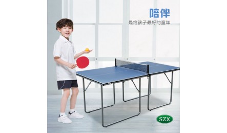 迷你mini型室内乒乓球桌